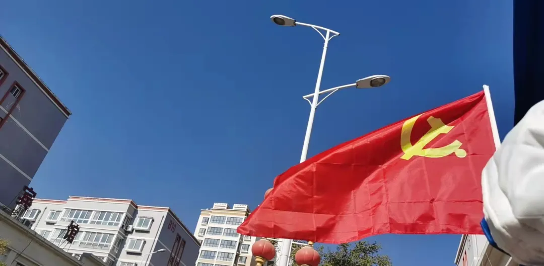 【让党旗在“战疫”一线高高飘扬】漳县人民检察院开展主题党日活动助力疫情防控